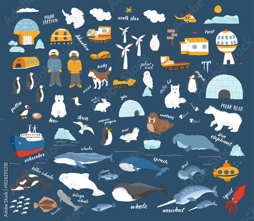 Polar animals collection, cute birds, fish and marine mammals. Arctic wild animals and polar stations set. Vector illustration