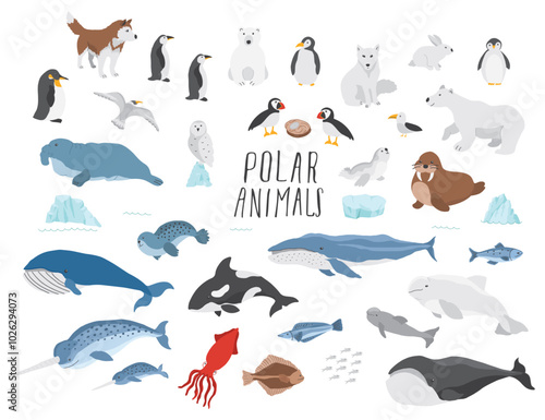 Polar animals collection, cute birds, fish and marine mammals. Arctic wild animals set. Vector illustration
