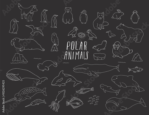 Polar animals collection, cute birds, fish and marine mammals. Arctic wild animals set. Vector illustration