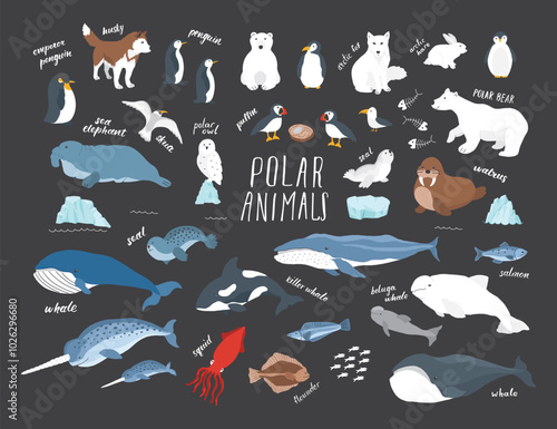 Polar animals collection, cute birds, fish and marine mammals. Arctic wild animals set. Vector illustration