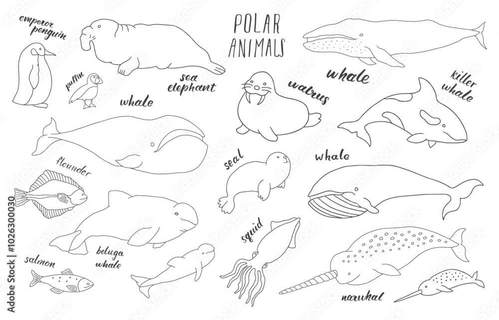 Polar animals collection, cute birds, fish and marine mammals. Arctic wild animals set. Vector illustration