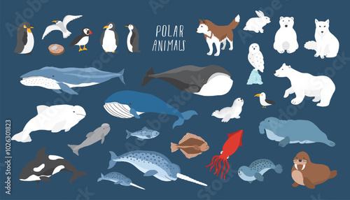 Canvas Print Polar animals collection, cute birds, fish and marine mammals