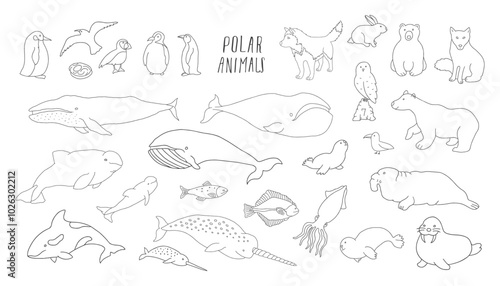 Polar animals collection, cute birds, fish and marine mammals. Arctic wild animals set. Vector illustration