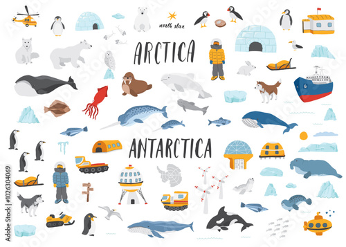 Polar animals collection, cute birds, fish and marine mammals. Arctic wild animals and polar stations set. Vector illustration