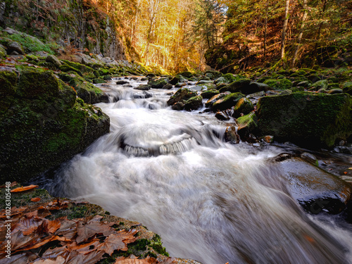 Bach im bayerischen Wald