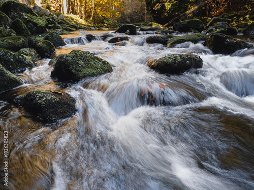 Bach im bayerischen Wald