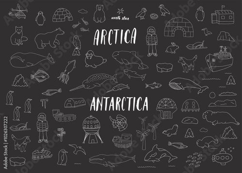 Polar animals collection, cute birds, fish and marine mammals. Arctic wild animals and polar stations set. Vector illustration
