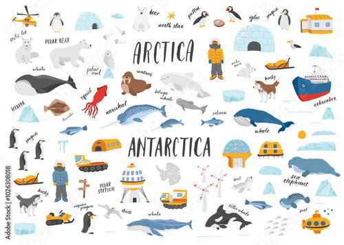 Polar animals collection, cute birds, fish and marine mammals. Arctic wild animals and polar stations set. Vector illustration