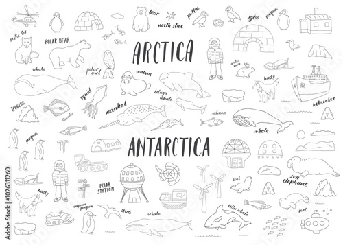 Polar animals collection, cute birds, fish and marine mammals. Arctic wild animals and polar stations set. Vector illustration