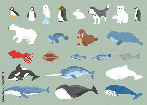 Polar animals collection, cute birds, fish and marine mammals. Arctic wild animals set. Vector illustration