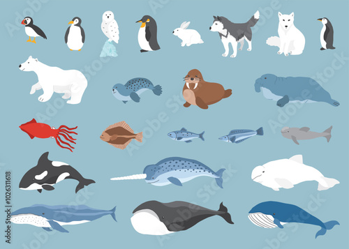Polar animals collection, cute birds, fish and marine mammals. Arctic wild animals set. Vector illustration