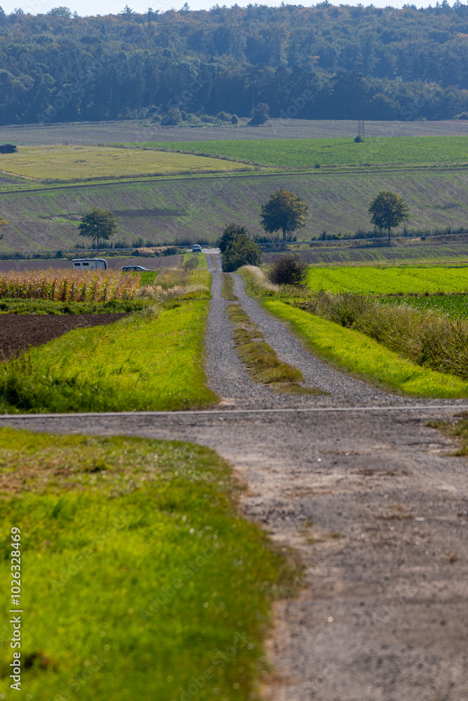Panoramic view on a dirt road in September with corn, rapeseed, sugar beet and few trees Panoramic view on a dirt road in September with corn, rapeseed, sugar beet and few trees