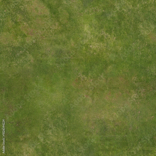 grass texture seamless