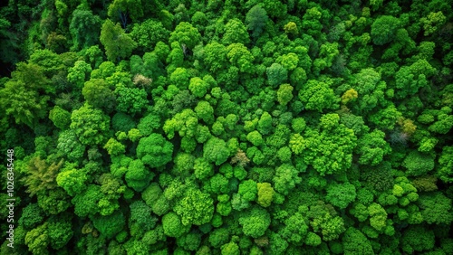 Natural green herb wall with high angle view perfect as wallpaper or background