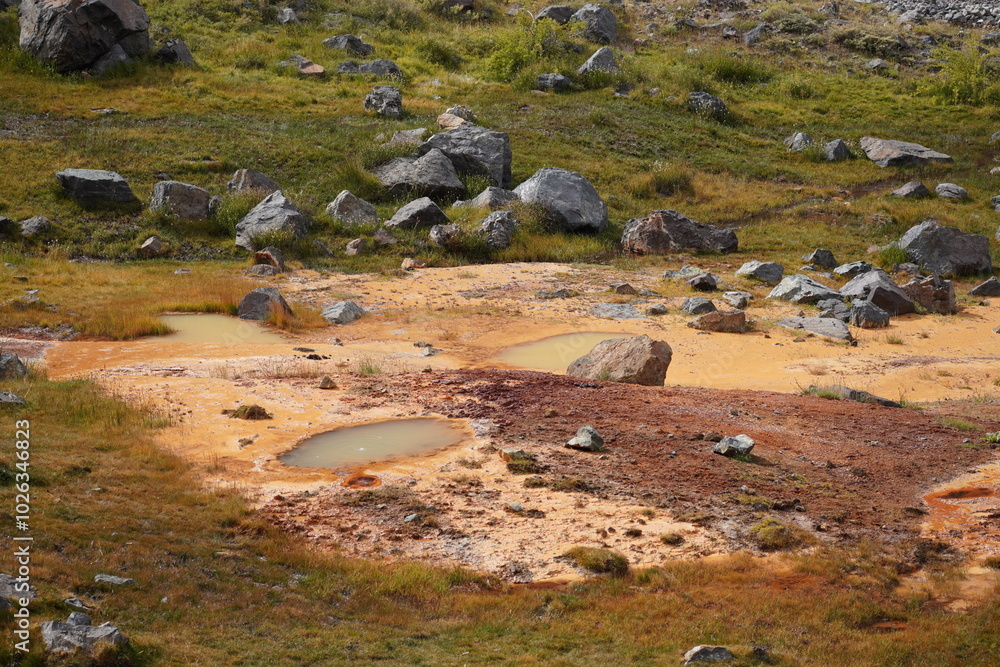Fototapeta premium Andes Mountains, Cajon del Maipo, Chile