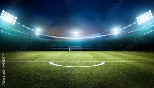 soccer or football field at night with copy space