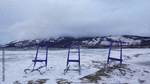 A few Traditional Scandianvian kicksled photo