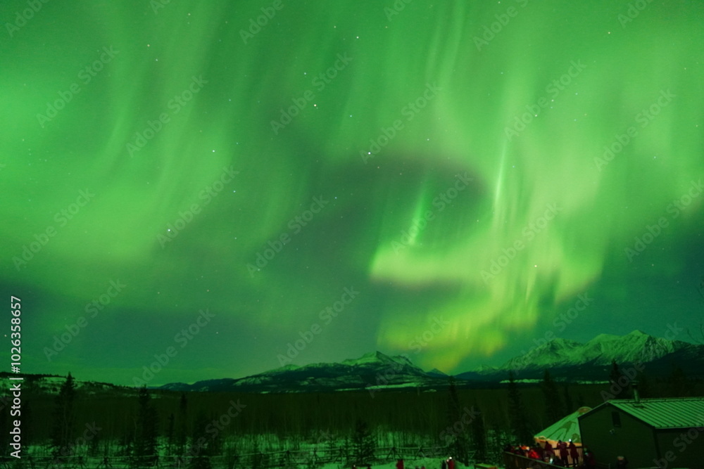Fototapeta premium Northern Lights in Yukon Canada