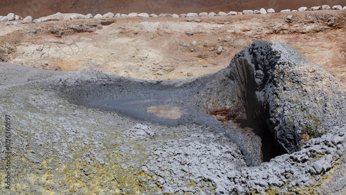 Sol de Manana's Geysers at Eduardo Avaroa photo