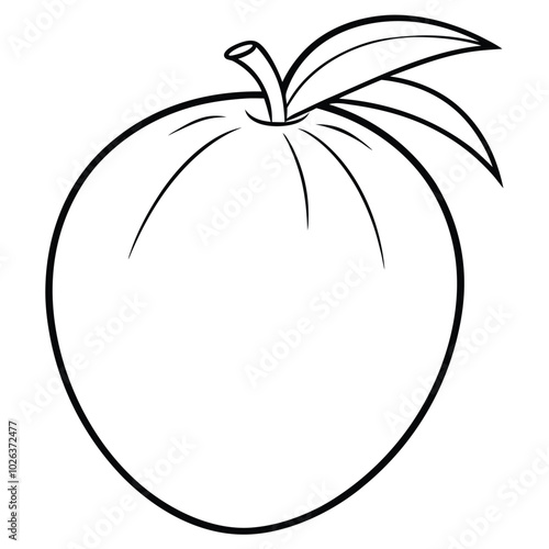 Palm Fruit Line Drawing Vector.