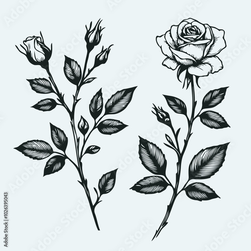 Adobe Illustrator Artwork
rose sketch, roses flower
set of flowers vector
illustration outline of a flower
black and white line art, lineart. used for cards, invitations, banners, posters, logo, print