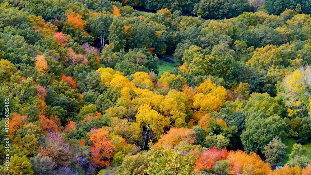 landscape autumn colors trees mountain field yellow red green ochre peace landscape autumn colors trees mountain field yellow red green ochre peace
