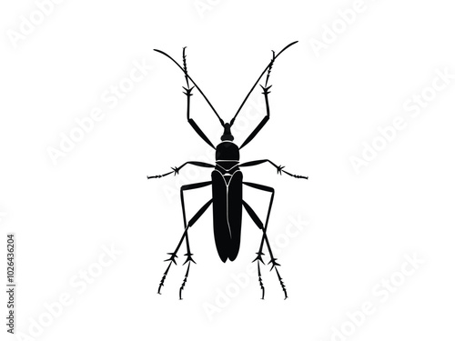 Assassin Bug Vector Silhouettes | Halloween Insect Art