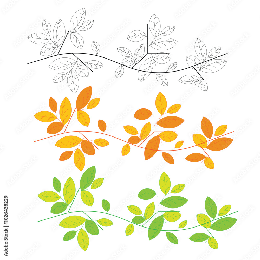 Fototapeta premium Vector graphics of leaves at the root of model number 4 with different colors and line art on a white background