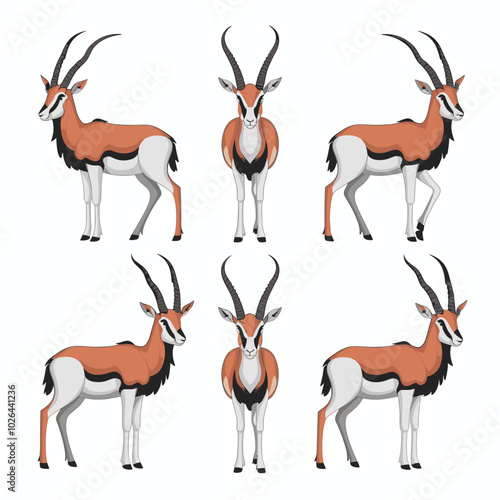 Cute antelope stands on a white background in cartoon style. Vector illustration with African animal