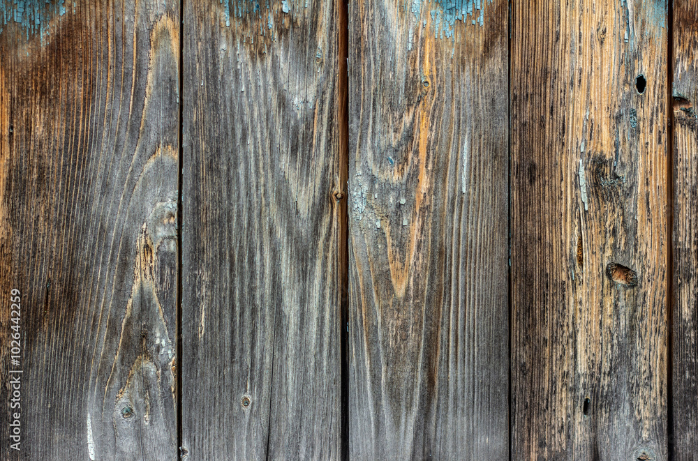 Old wooden background, with remnants of blue paint, with cracks and nails. Old wooden background, with remnants of blue paint, with cracks and nails.