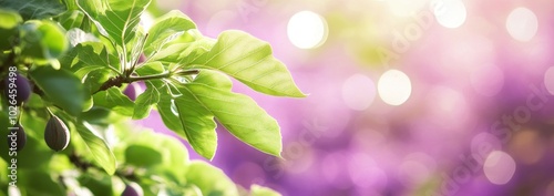 A close-up of vibrant green leaves against a soft, blurred purple background.