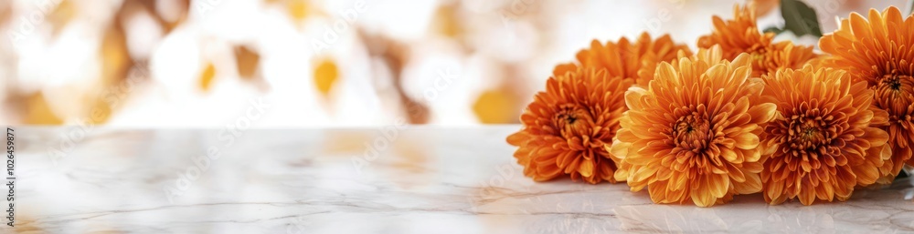 A serene arrangement of orange flowers on a marble surface, evoking warmth and beauty. A serene arrangement of orange flowers on a marble surface, evoking warmth and beauty.