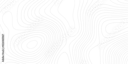 modern geometric line background patterns with various curved stains, Background of the topographic map with black lines, White wave paper curved reliefs abstract geometric pattern with stains.