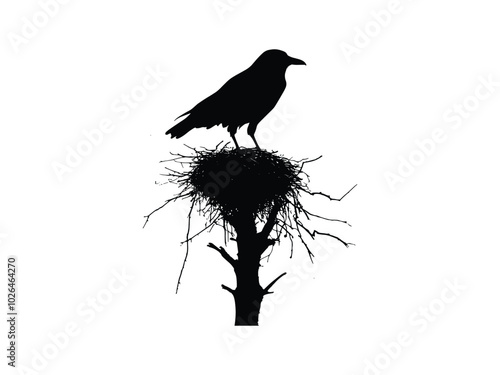 Crow's Nest Silhouette Collection – Spooky Halloween Bird Designs