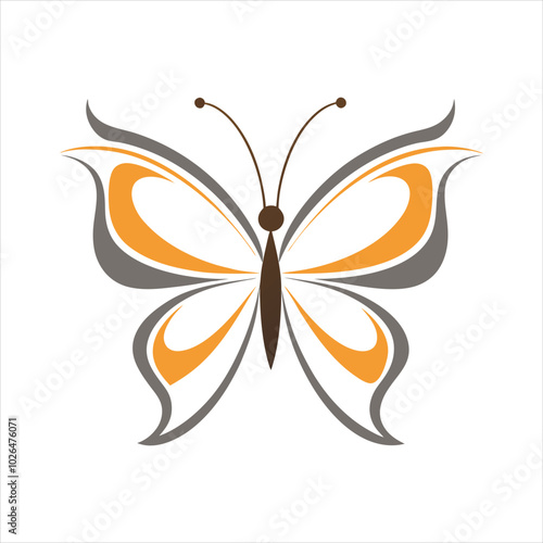 butterfly illustration