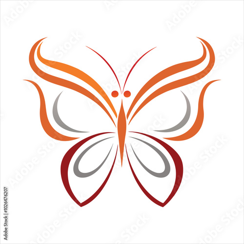 butterfly illustration