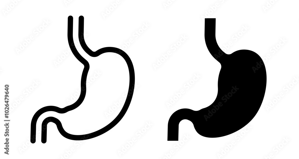 Stomach Icons set in solid and thin line style Stomach Icons set in solid and thin line style