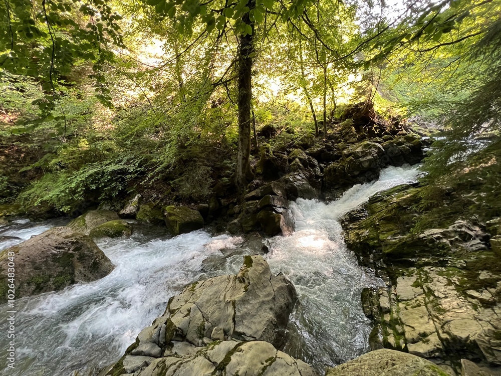 The Giessbach stream above Lake Brienz (Brienzersee) and in the eponymous nature park - Canton of Bern, Switzerland (Kanton Bern, Schweiz) The Giessbach stream above Lake Brienz (Brienzersee) and in the eponymous nature park - Canton of Bern, Switzerland (Kanton Bern, Schweiz)