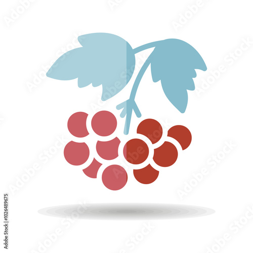 Rowan branch with berries and leaf vector icon
