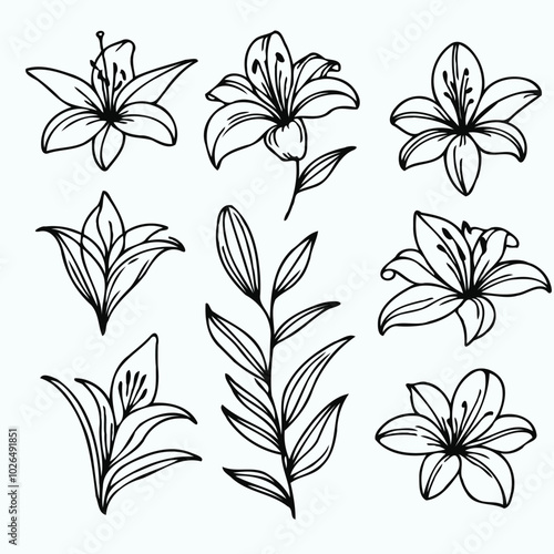 Adobe Illustrator Artwork
lilies sketch, lily flower
set of flowers vector
illustration outline of a flower
black and white line art, lineart