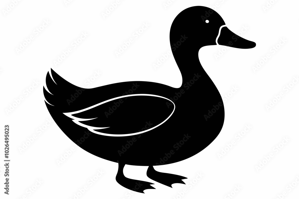Duck Silhouette, Duck black silhouette Vector illustration Duck Silhouette, Duck black silhouette Vector illustration