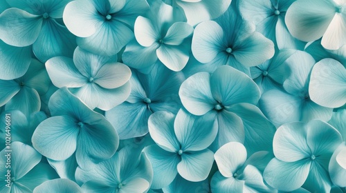 A close-up view of delicate, light blue flowers creating a serene and calming atmosphere.