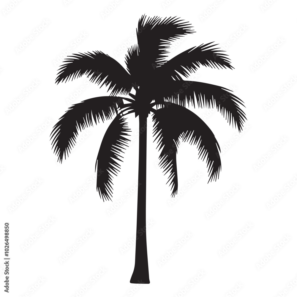 Fototapeta premium palm tree silhouette vector illustration, plams, coconut tree symbol