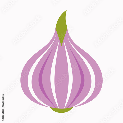 Garlic Allium sativum creative vector design