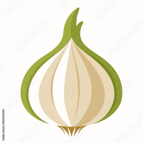 Garlic Allium sativum creative vector design