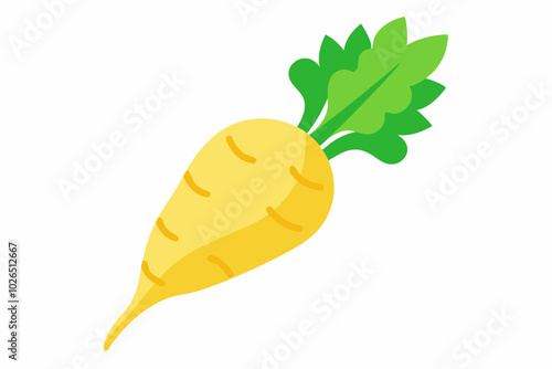 Parsnip pestinaca sativa creative vector design
