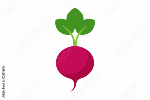 Radish Raphanus sativus creative vector design