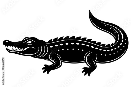 crocodile isolated on white