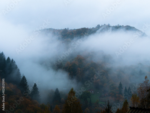 Misty fall Carpathian Mountains fog landscape. Village in Transcarpathia region Foggy spruce forest Contrasting white clouds dark green pine trees scenic view, Europe. Autumn countryside. Eco tourism.