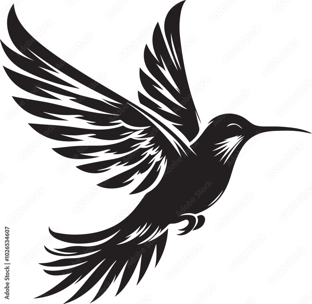 Fototapeta premium black and white bird